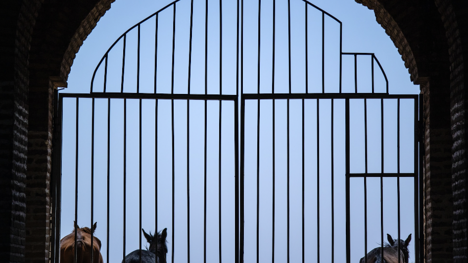 Multiple Serverless API Gateway