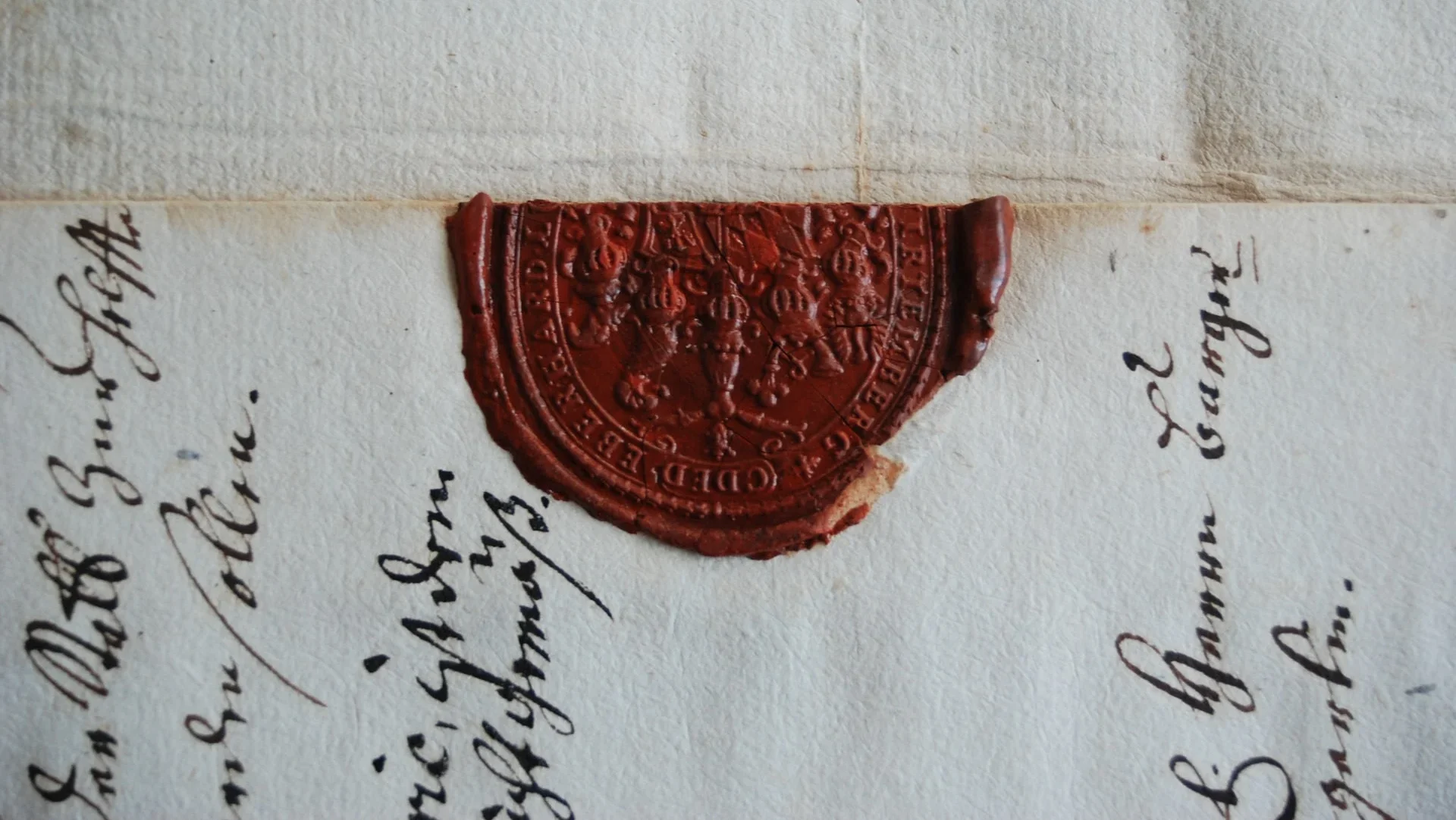 david-nitschke-pegxjW_1YOU-unsplash