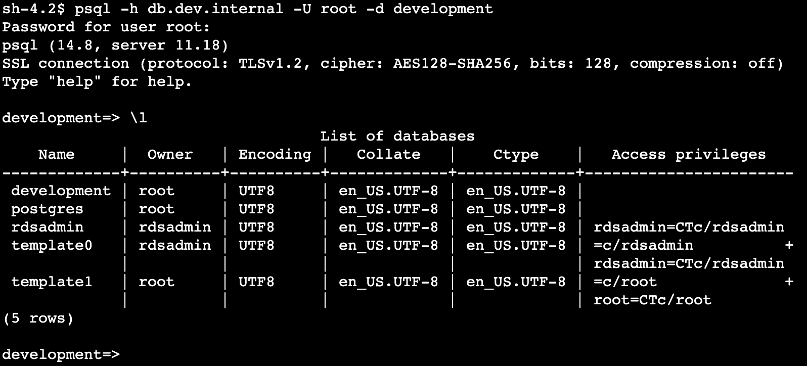 psql session